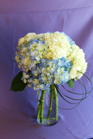 Blues and whites