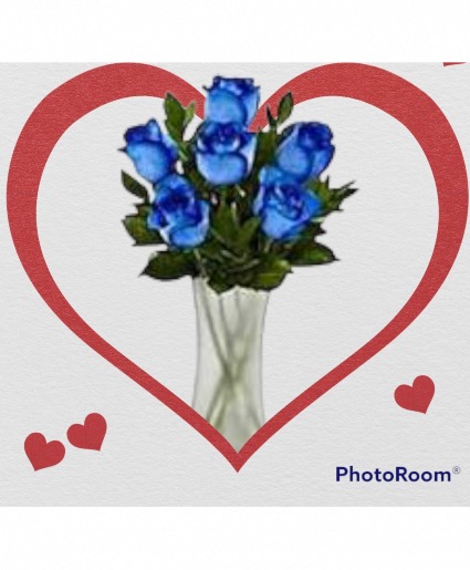 Bluey roses Roses