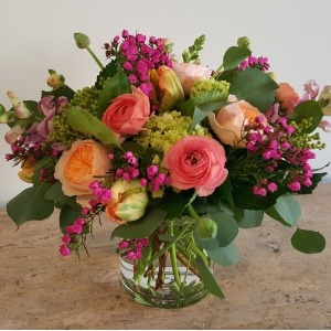 Blush and Bashful 