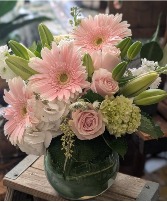 Blush and Bashful Any Occasion 
