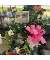 Blush Blooms Outdoor Plant Arrangement 