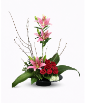 Blush & Bold Valentines