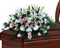 Category Image