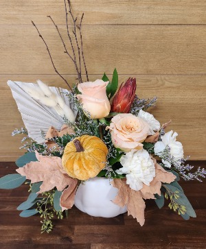 Blush Harvest T&V Original 