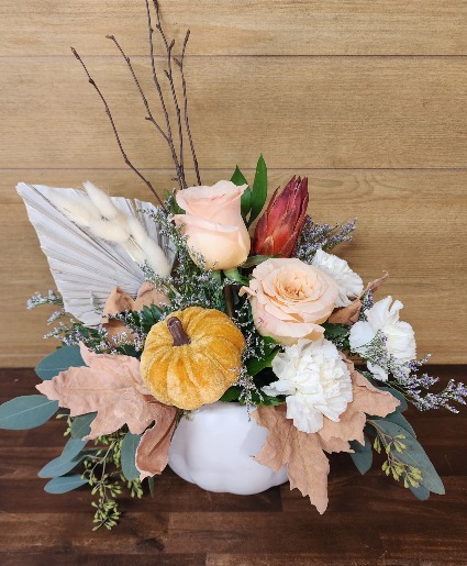 Blush Harvest T&V Original 