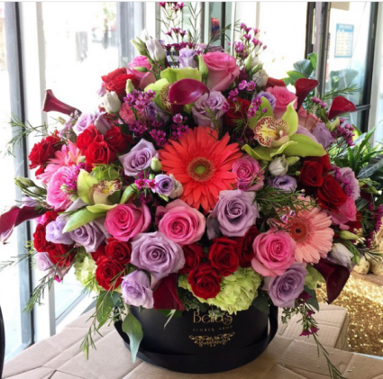 Vibrant Floral Medley