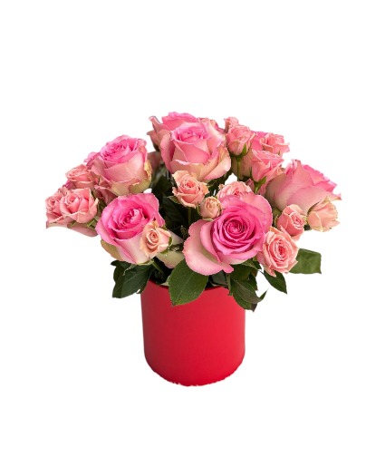 Blush of love roses arrangement in the box