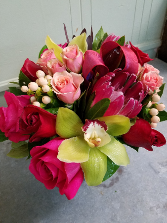 Blush of Romance Roses