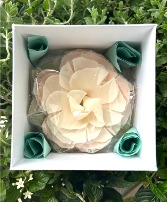 Blush Orchard Petal Soap Flower