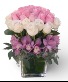 Blush Orchid Rose Cube Everyday Flowers