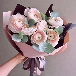 Blush Ranunculus  