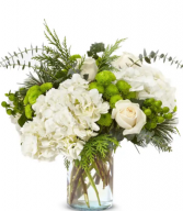 Luscious hydrangea blossoms  Vase 