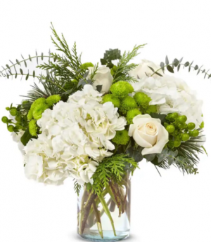Luscious hydrangea blossoms  Vase 