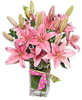 Blushing Beauty Bouquet in Florence, Kentucky | FLOWERAMA FLORENCE