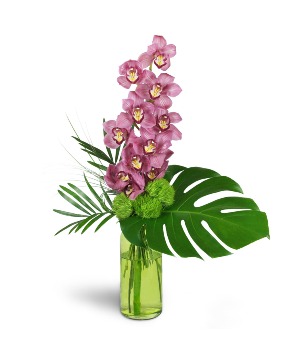 Blushing Grace Orchids™ Arrangement 
