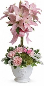 Blushing Lilies