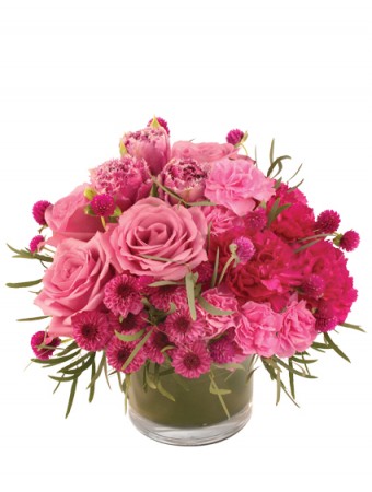 Blushing Love Arrangement in Newark, OH | JOHN EDWARD PRICE FLOWERS & GIFTS