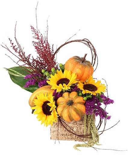 BLOOMING PUMPKIN PATCH FLORAL DESIGN 