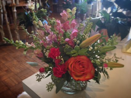 Bobbie Jean Farmhouse Collection