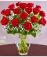  One Dz Long Stem Red Roses  in Vase 