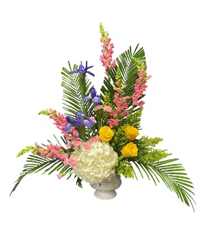 Bohemian Beauty One sided sympathy design