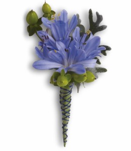 Bold And Blue H2034A