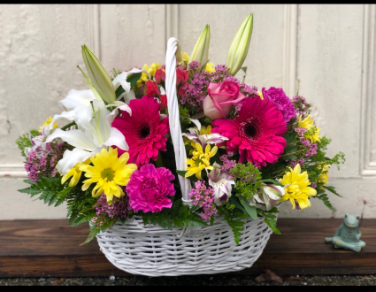 Bold Basket