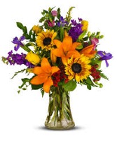 Bold & Beautiful Anytime Arrangement