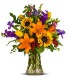 Bold & Beautiful Anytime Arrangement