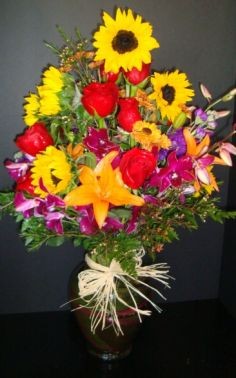 Category Image