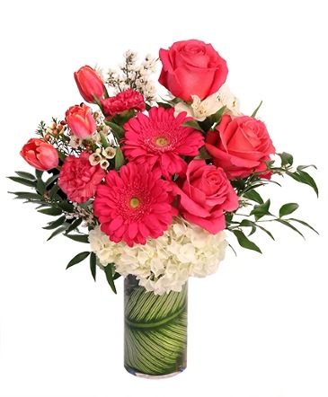 Bold Desire Floral Arrangement in Newark, OH | JOHN EDWARD PRICE FLOWERS & GIFTS