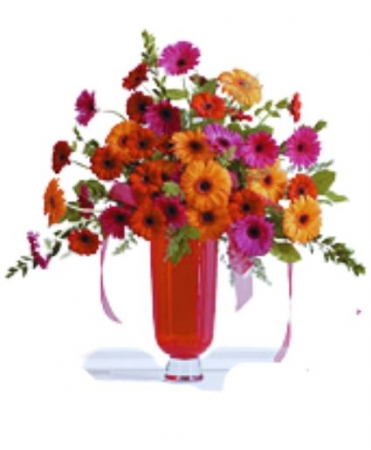 Bold Gerbera Daisy Premium Arrangement
