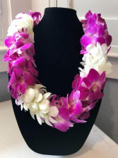 BOMBAY AND WHITE DOUBLE ORCHID LEI GRADUATION LEI