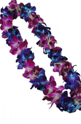 BOMBAY/BLUE DOUBLE ORCHID LEI GRADUATION LEI
