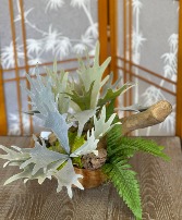 Bonnie  Faux Staghorn and fern with driftwood .