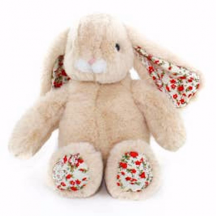 Bonnie the Long Eared Bunny