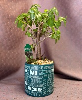 Bonsai - You're the BEST Dad!  Jade Bonsai Tree in Father's day planter