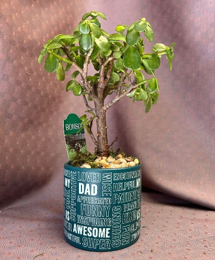 Bonsai - You're the BEST Dad!  Jade Bonsai Tree in Father's day planter