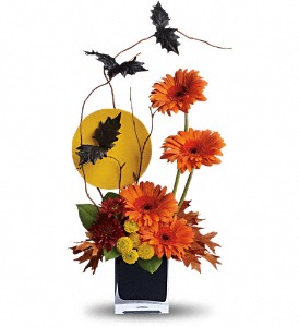 Boo-tiful BatsT177-1A Halloween in Fort Worth, TX | DAVIS FLORAL DESIGNS Boo-tiful BatsT177-1A Halloween in Fort Worth, TX | DAVIS FLORAL DESIGNS