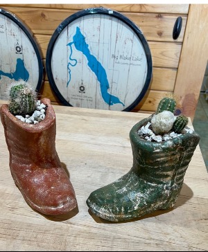 Boot Scootin Assorted Cactus 