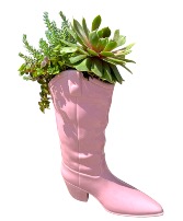 Boots on the Ground Succulent Planter 