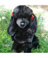 Bordeaux Black Poodle Stuffed Animal Gift Items