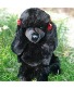 Bordeaux Black Poodle Stuffed Animal Gift Items