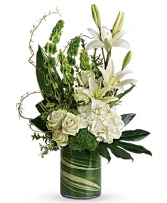 Botanical Beauty 