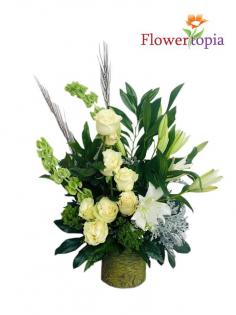 Category Image