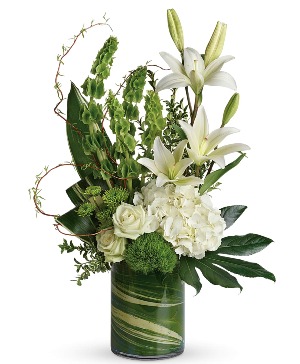 Botanical Beauty... "New at Wilsons" 
