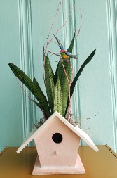 BOTANICAL BIRDHOUSE PLANT