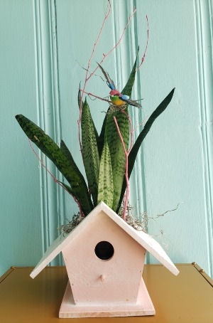 BOTANICAL BIRDHOUSE PLANT