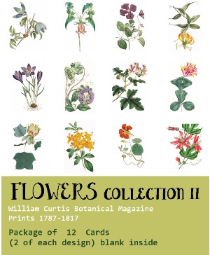 Botanical Card Set William Curtis Set "12 Flowers"