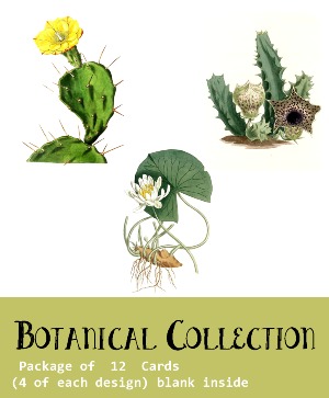 Botanical Card Set  William Curtis Set "Botanical Set #2"